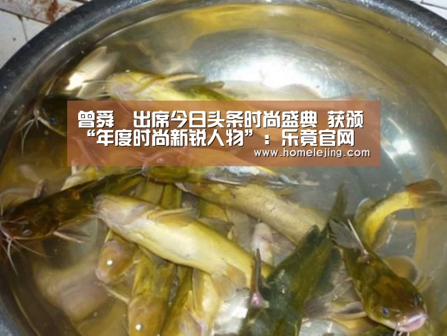 曾舜晞出席今日头条时尚盛典 获颁“年度时尚新锐人物”:乐竟官网(图3) 乐竟app