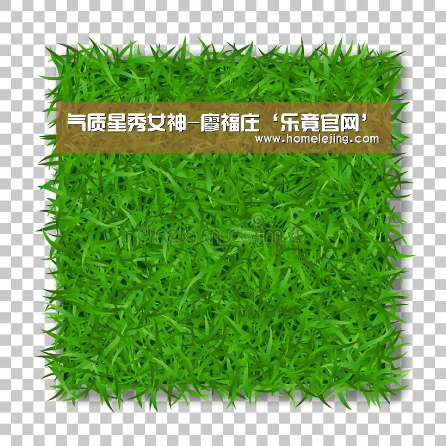 气质星秀女神-廖福庄‘乐竟官网’